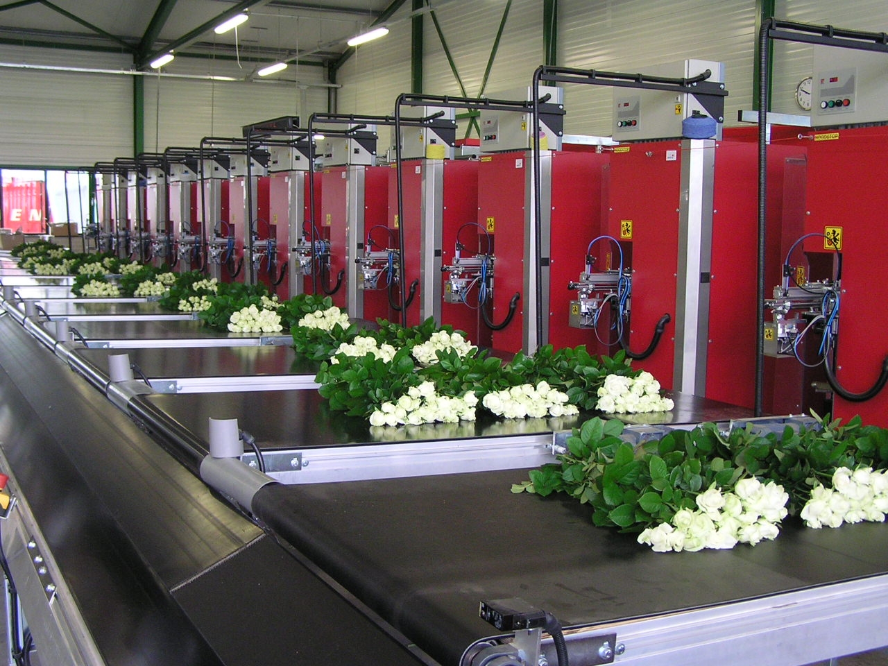 Bercomex flower processing machines